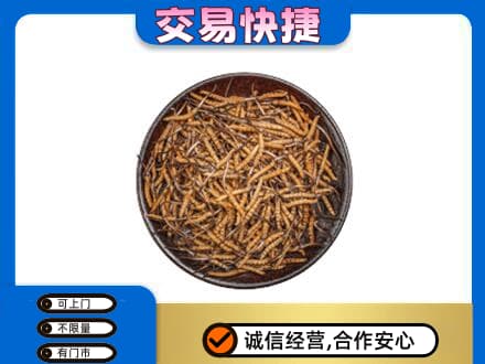 安康回收散虫草